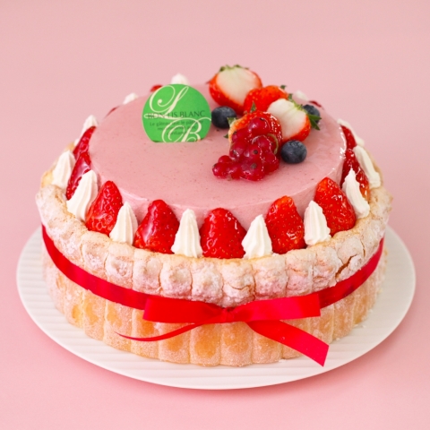 �V�������b�g�t���[�Y