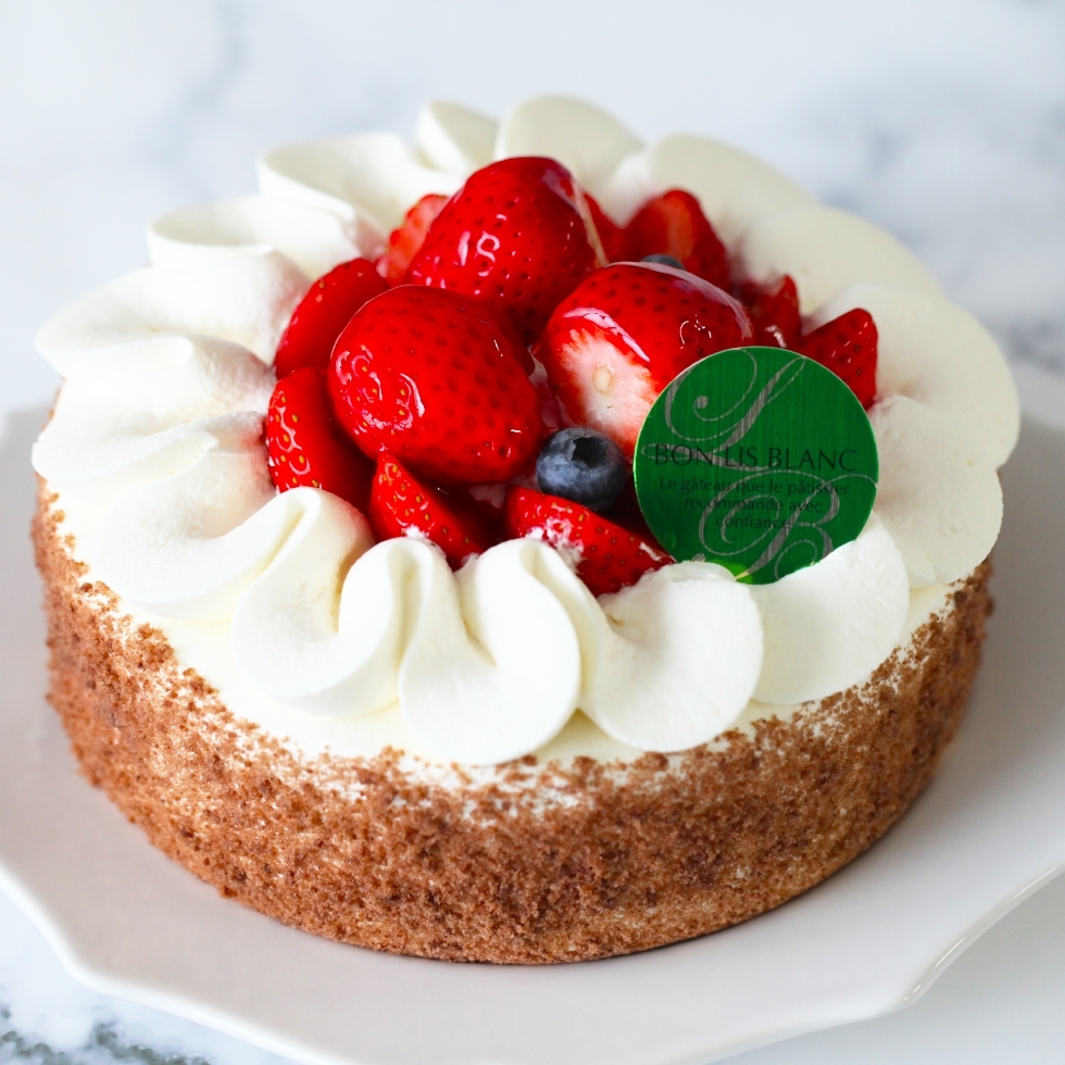 �V���R���E�t���[�Y